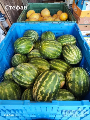 Продавам Дини и Пъпеши на Едро!, снимка 9 - Други - 55419106