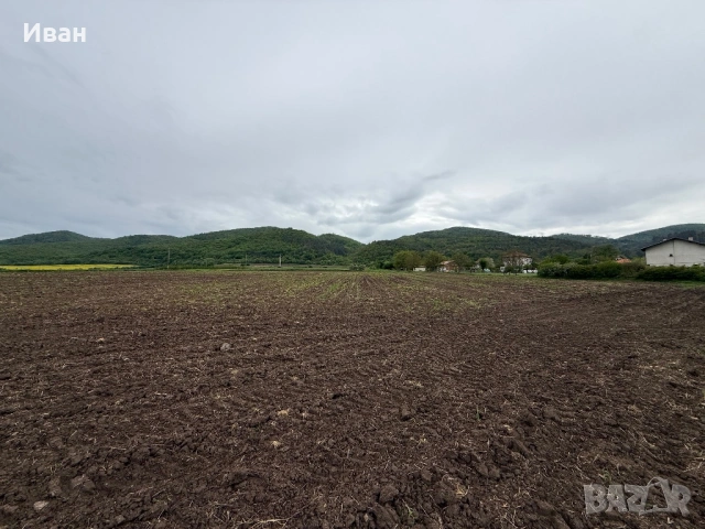 Продавам 1 дк в регулация с електричество
