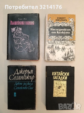 Китайски загадки - Робърт ван Хюлик