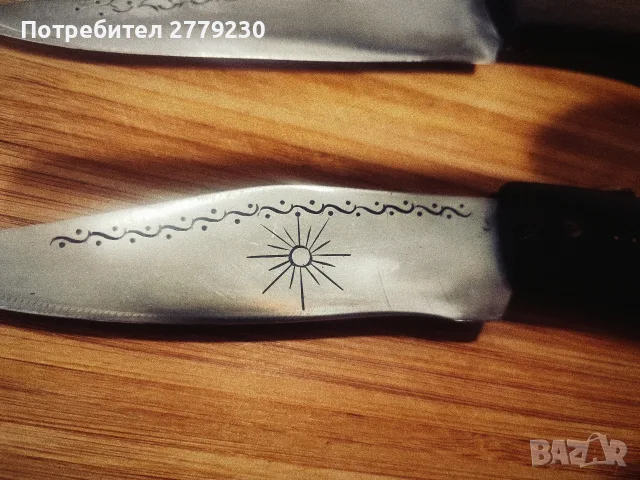 Големи Габровски Сойки Етъра, снимка 14 - Други ценни предмети - 55546286