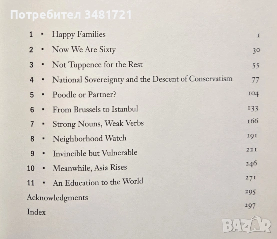 Отчуждени братовчеди - Америка, Великобритания и Европа в 21ви век / Cousins And Strangers, снимка 2 - История, политика и общество - 54959841