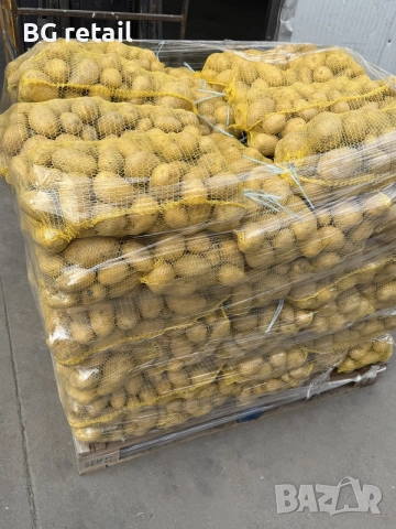 🥔✨ ПРОДАЖБА НА КАРТОФ! ✨🥔, снимка 3 - Домашни продукти - 43791892
