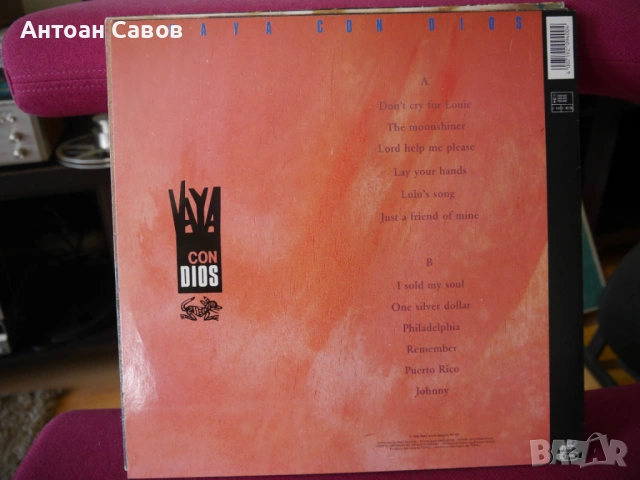 Vaya Con Dios, снимка 2 - Грамофонни плочи - 54305124