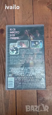 VHS- Нашествието Пчели Убийци, снимка 2 - Други жанрове - 55626573