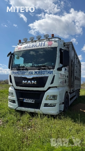 ТРАНСПОРТ НА ЖИВОТНИ