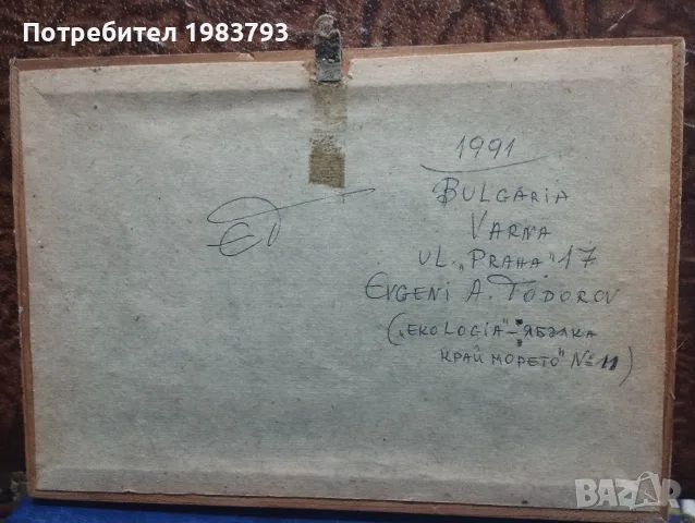 Красива морска картина 1991г.на Евгени Тодоров., снимка 4 - Картини - 55432551