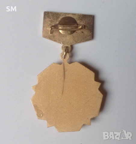 Медал БНМАУ – Монголия, снимка 2 - Други ценни предмети - 55035978
