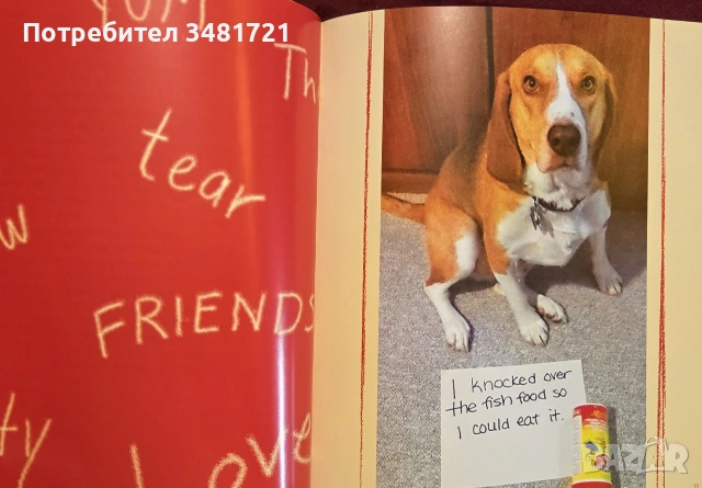 Dog Shaming, снимка 2 - Други - 55064833