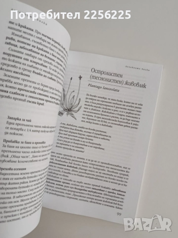 Здраве от аптеката на Господ, снимка 3 - Специализирана литература - 54928803