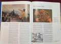 История на Норвегия от Ледената до петролната епоха / A History of Norway, снимка 6
