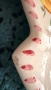 Голяма фруктиера / плато, снимка 15