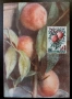 Карти-максимум, Италия, снимка 5