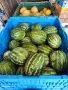 Продавам Дини и Пъпеши на Едро!, снимка 9