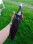 Cudeman Bowie 23,5 см !!, снимка 7