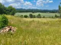имот с площ 2 597  кв.м, находящ се на пътя между Гниляне и Подгумер с идентификатор  003, снимка 5