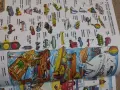 Английско-български картинен речник, снимка 2