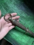F. DICK - Рядък модел стар винтидж плосък масат, снимка 8