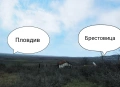 Парцели в Пастуша - Перущица, снимка 6