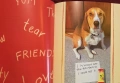 Dog Shaming, снимка 2