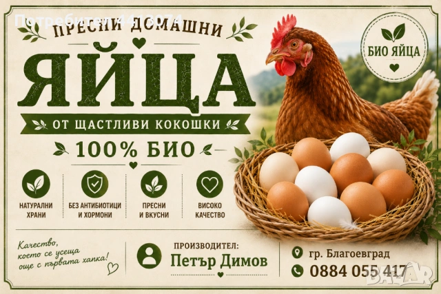 Био пресни домашни яйца