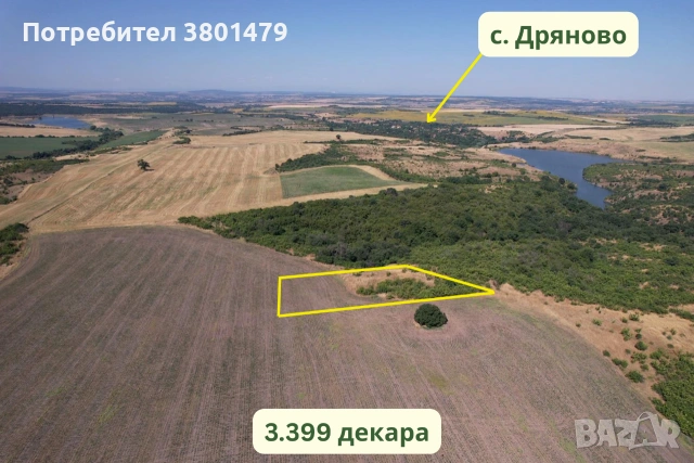 Продавам 20.634 дка земя в село Дряново ВИСОКА РЕНТА, снимка 3 - Земеделска земя - 55259685