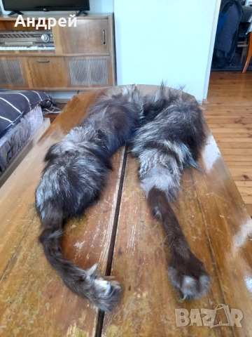 Стара кожена яка