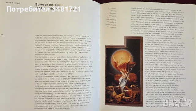 Helmut Schober. Light-Licht, снимка 11 - Изкуство, музика, кино и фотография - 55361887