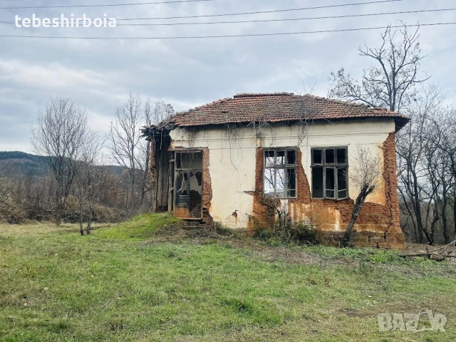 Поземлен имот, с.Осиковица, София област, общ.Правец, снимка 5 - Парцели - 54689558