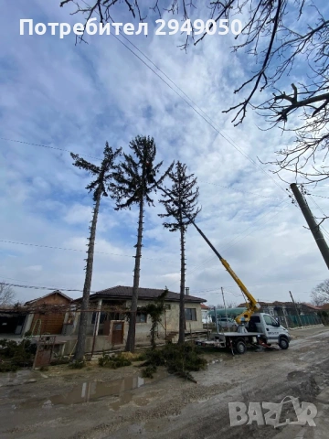 Рязане на опасни дървета и склони с вишка, снимка 3 - Други услуги - 54069204