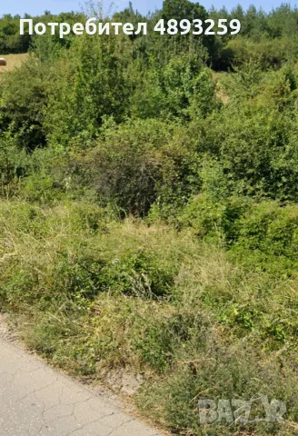 Продава се Парцел в с.Кладница, обл.Перник