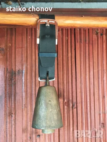 Стар чан - 12см.