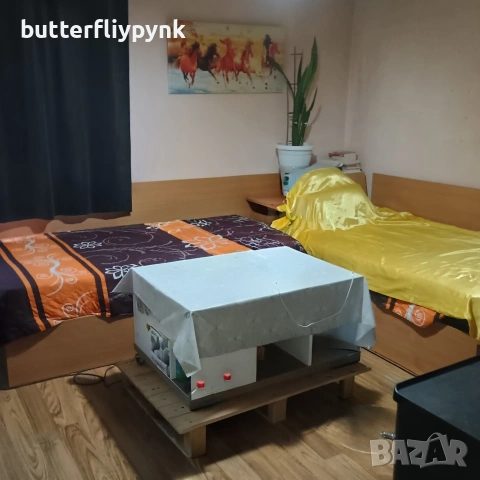 Къща в Игнатиево от собственик , снимка 4 - Къщи - 55216470