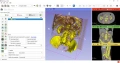 Медицинско 3D моделиране - 3D Slicer за начинаещи, снимка 1