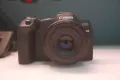 Canon R8 + RF 50mm f/1.8 STM, снимка 2