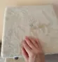 Нова котешка катерушка, снимка 8