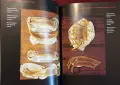 Encyclopaedia Аnatomica, снимка 9