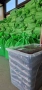 🌱 Биотор от калифорнийски червеи – природната енергия за вашата градина! 🌱, снимка 5