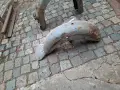 Мз трофи 175 es 1, снимка 4