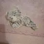 Плюшени Играчки, снимка 2