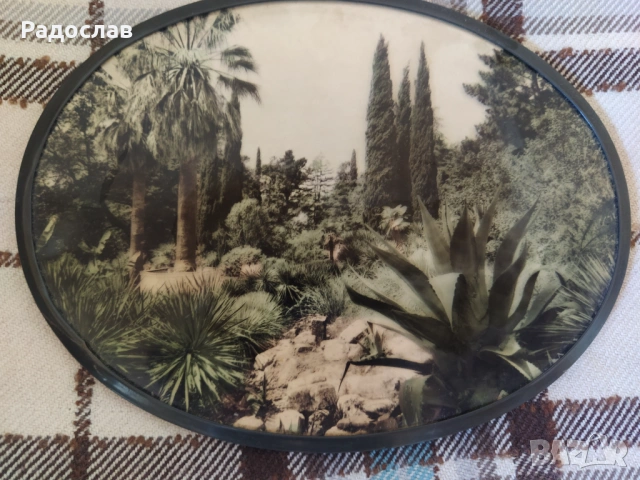 старо руско пано за стена Сочи, снимка 2 - Пана - 54696711