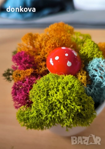 живи картини декорации от скандинавски мъх., снимка 7 - Картини - 53978658