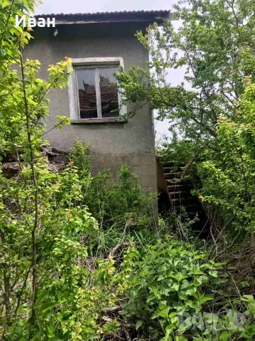 Продава имот със стара къща село Извор Софийско, снимка 4 - Къщи - 55535316