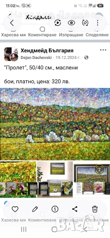 Колумнея, columnea Orange Sherbet, снимка 2 - Стайни растения - 55099814