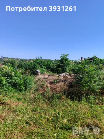 Къща в село Чирен на 18 км от Враца , снимка 8 - Къщи - 55702753
