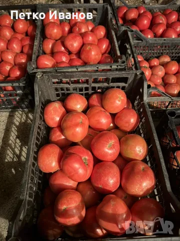 🍅 Пресни български розови домати – 10 кг щайга