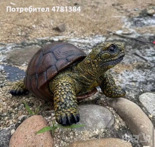 градинска костенурка за декорация!, снимка 4 - Градински мебели, декорация  - 54016280