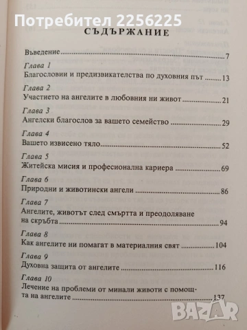Лечение с ангелите, снимка 7 - Художествена литература - 54317258