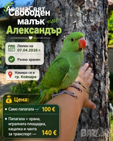 Малък Александър