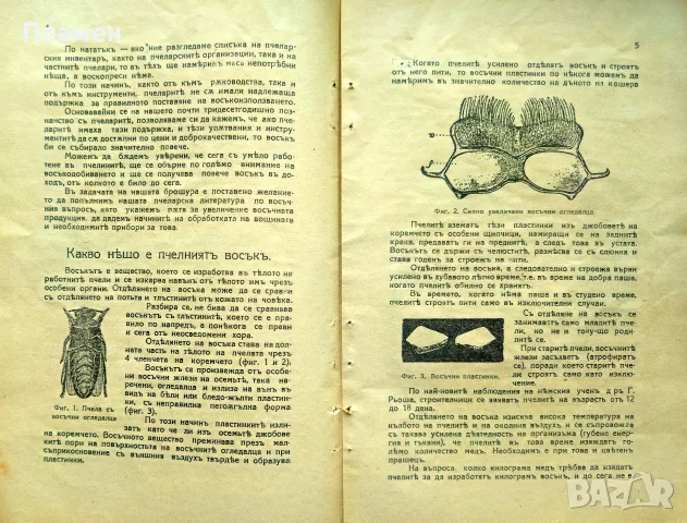 Пчелниятъ восъкъ. Производство, обработка, пречистване Първанъ Ивановъ /1934/, снимка 2 - Антикварни и старинни предмети - 55323569