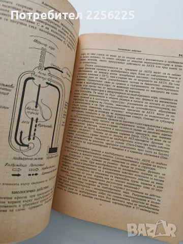 Хормони и хормонотерапия, снимка 4 - Специализирана литература - 54044913
